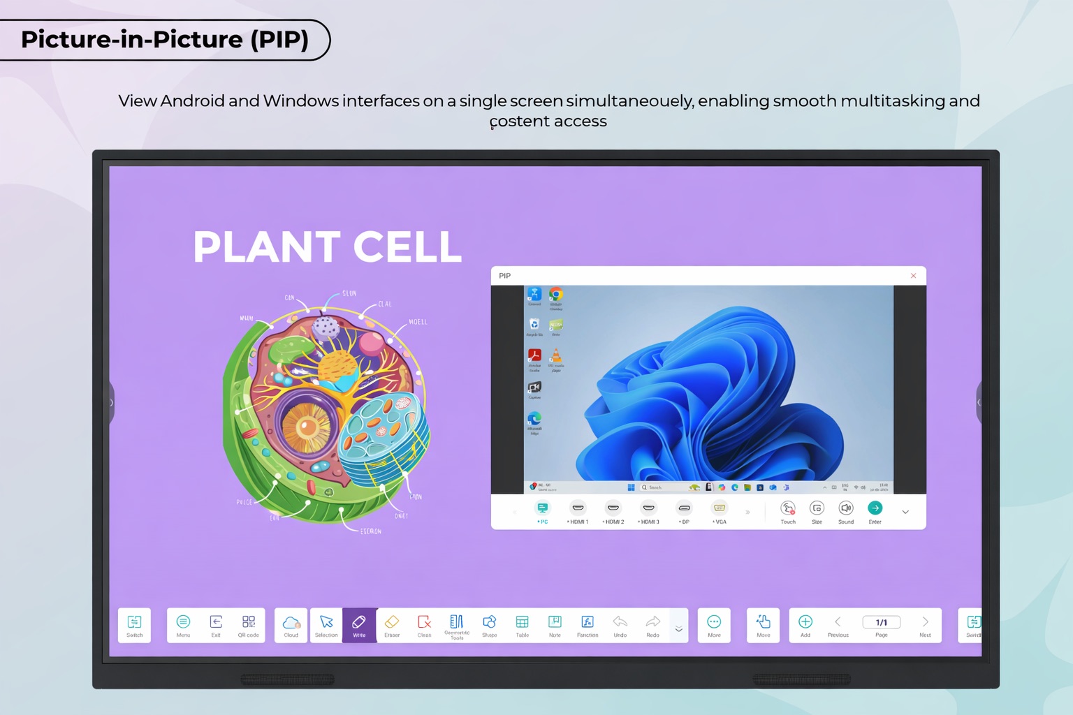 Plant Cell