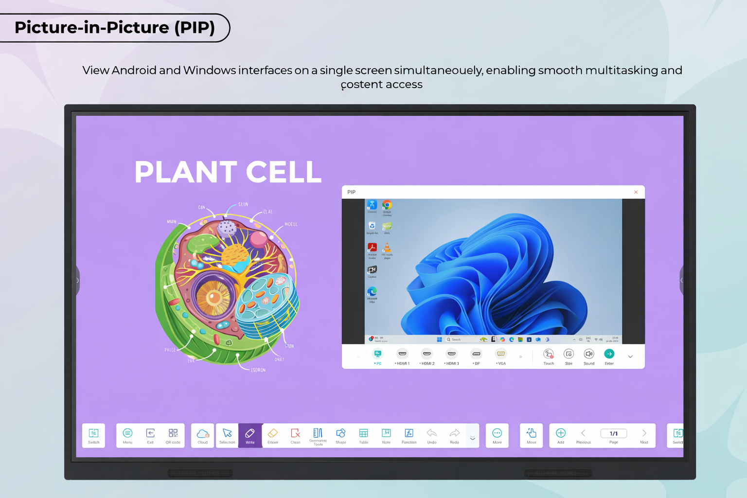 Plant Cell